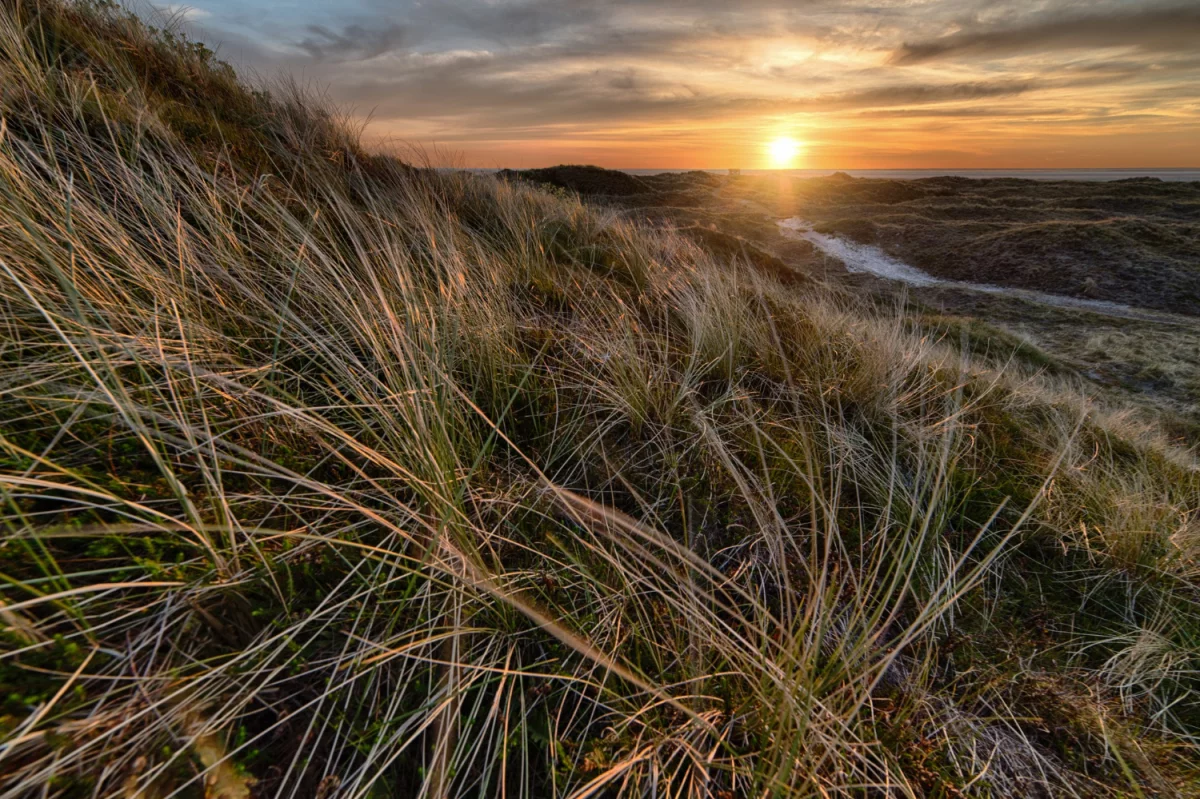 7 Zaskakująco Skutecznych Sposobów Aby zamontować pompę ciepła w Poznaniu