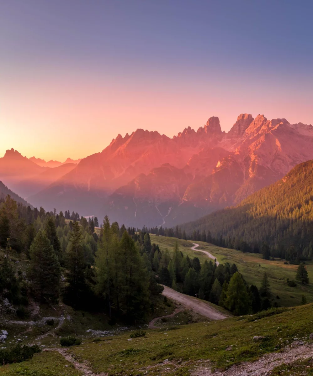 Ciekawe kto może robić tanie pozycjonowanie?