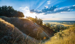 12 nowych sposóbw w 2020 aby  przewozić maszyny budowlane