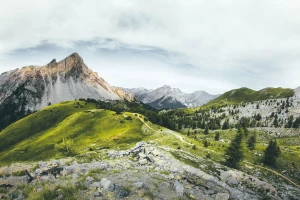 O biurach rachunkowych